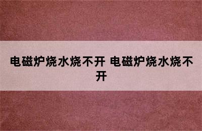 电磁炉烧水烧不开 电磁炉烧水烧不开